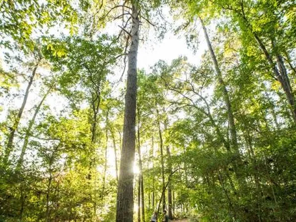 LOT 44 Brahman Ln, New Waverly, TX 77358