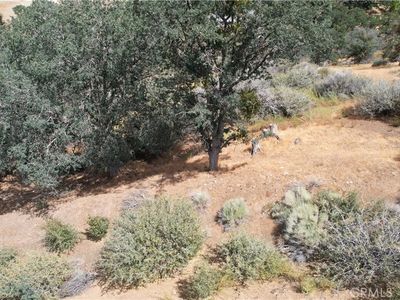 0 Lusanne Ct #150, Tehachapi, CA, 93561