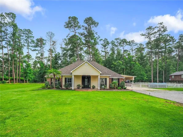 31501 River Pines Dr, Springfield, LA 70462