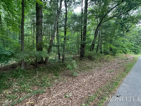 0 E Michillinda Rd Parcel A, Twin Lake, MI 49457