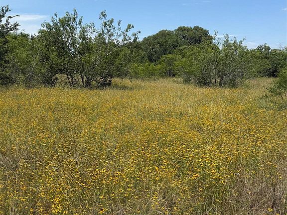 2nd image of 0 County Road 438