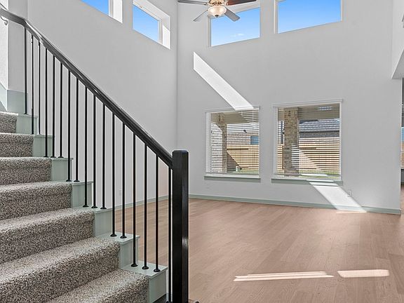 Elevation Image 3.