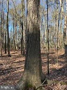 Wisteria Dr, Cambridge, MD, 21613