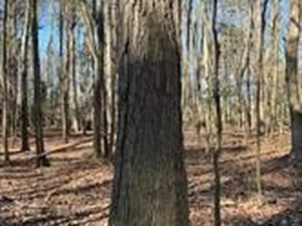 Wisteria Dr, Cambridge, MD 21613