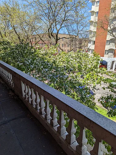 2511 N Prospect Ave #2505-11-19 Photo 1