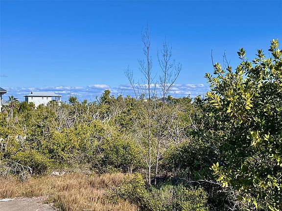 5th image of 9574 BUCCANEER TRAIL LOT 29