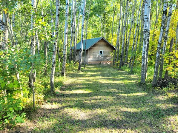 26317 370th Ave, Roseau, MN 56751