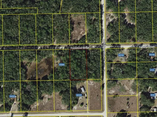 33104 Faculty St Lot 7, Webster, FL 33597