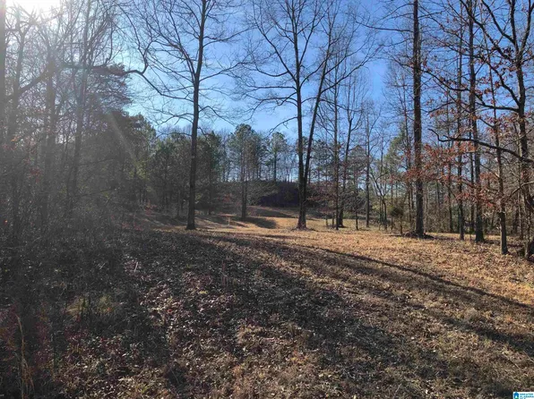 0 Hays Cemetery Rd #1, Hayden, AL 35079