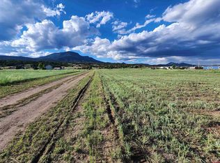 84 ORONDOA RD, South Fork, CO 81154