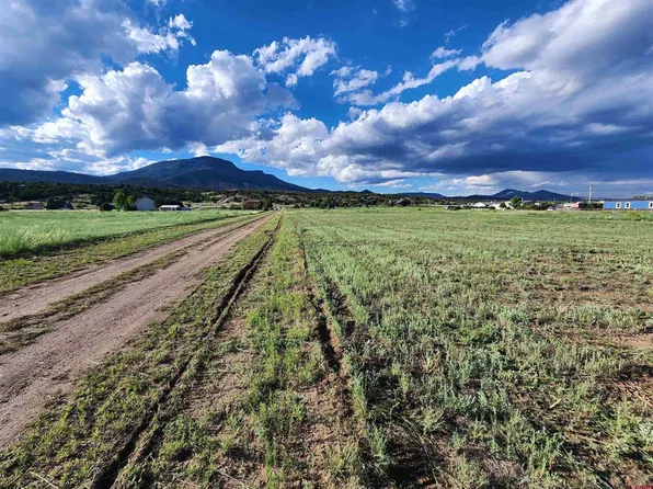 84 ORONDOA RD, South Fork, CO 81154