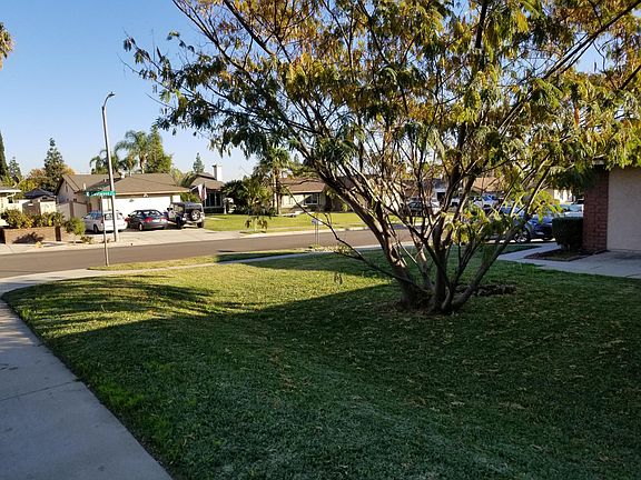 Large corner front yard