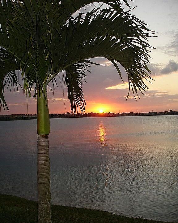 Sunset view from back of house