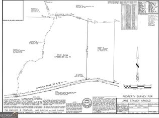 0 Hamilton Rd, Chattahoochee Hills, GA 30268