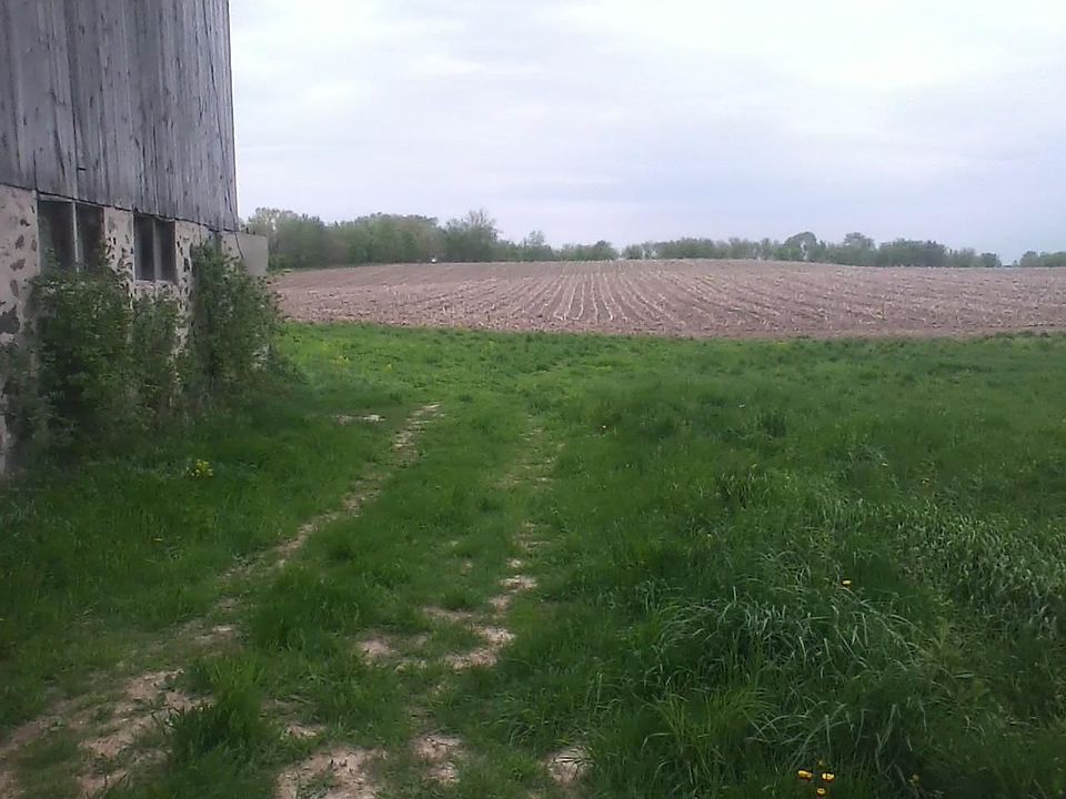 looking towards lake