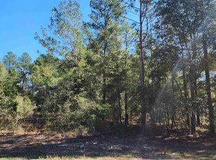 Dawn Ave, Interlachen, FL 32148