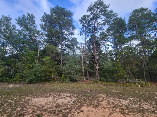 6 & 14 W May Lilly Ct, Defuniak Springs, FL 32433