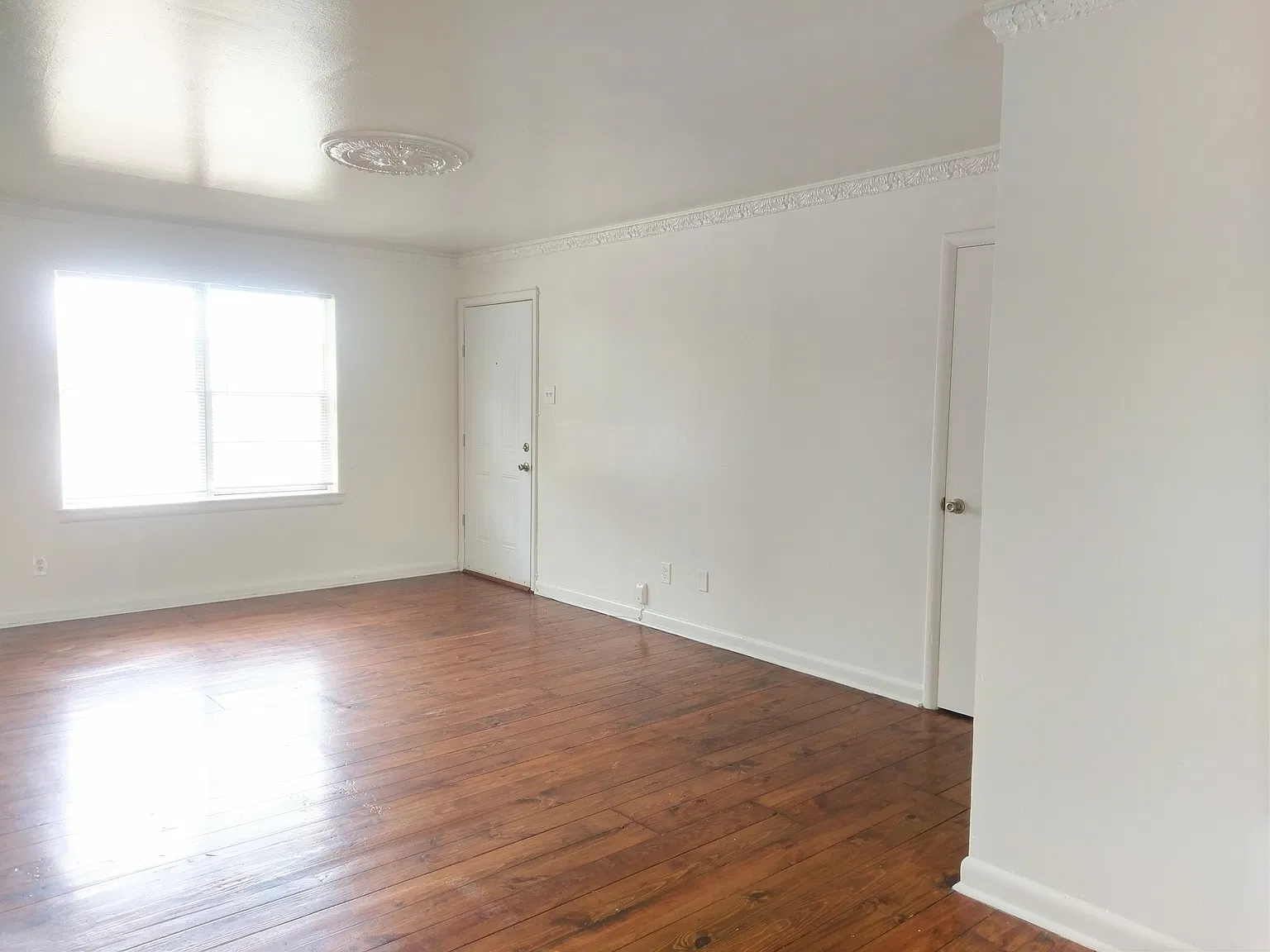 1 bed, 800 sqft, $1,375 — Photo 4
