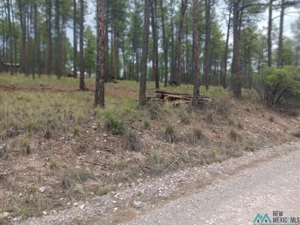 101 Arapaho, Timberon, NM 88350
