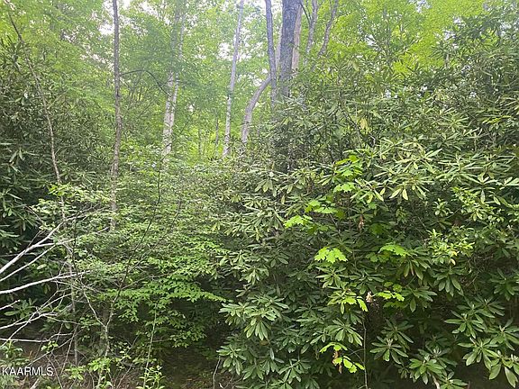 2nd image of 628 Costner Rd