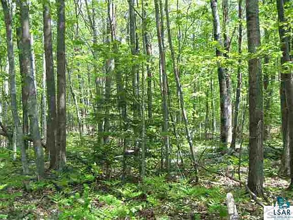 4th image of XXX Shortcut Road Lot 2 CSM #1606