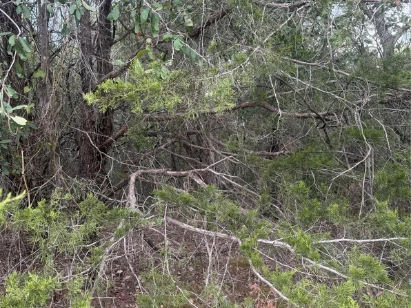 223 Mokulua Ln, Bastrop, TX 78602