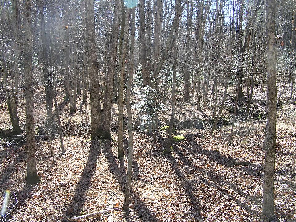 1st image of 975 River Dr #77