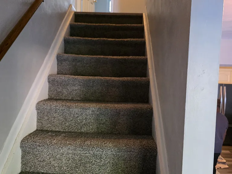 3508 Royal Palm Arch — Photo 13