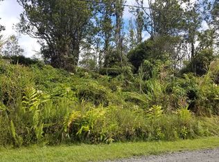 11 2713th #11, Volcano, HI 96785