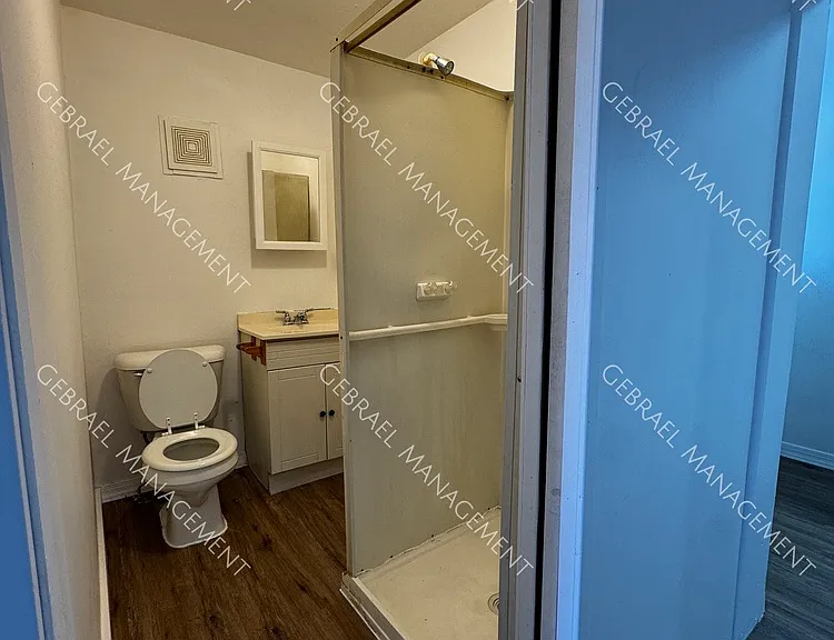 Madison St — Photo 9