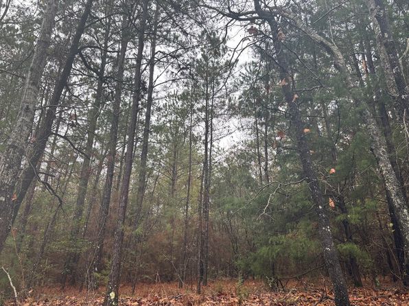0 Wilcox Rd, Evergreen, AL 36401