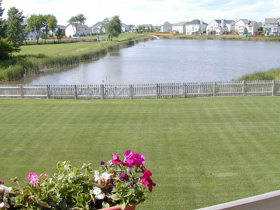 Backyard view