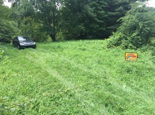 410 Bluegrass Rd, Roan Mountain, TN 37687