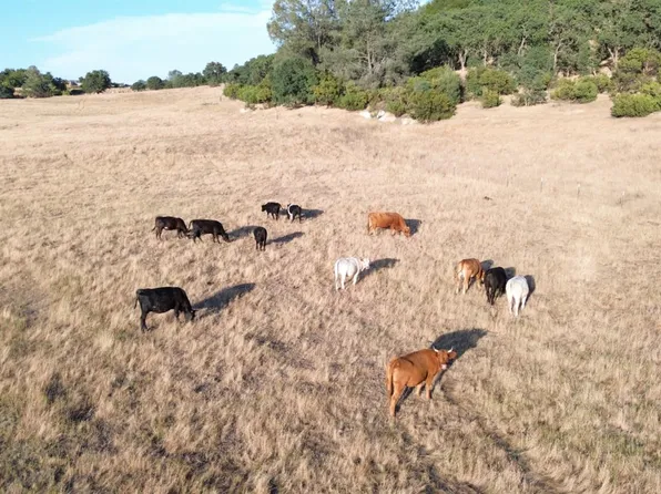 12244 Camanche Pkwy S, Burson, CA 95225