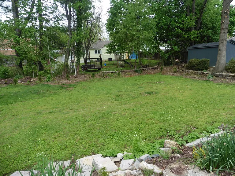Backyard View