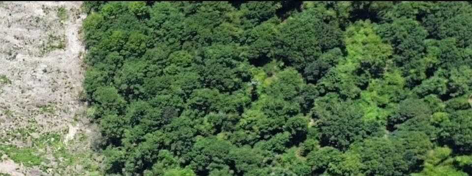 2nd image of County Road 3103
