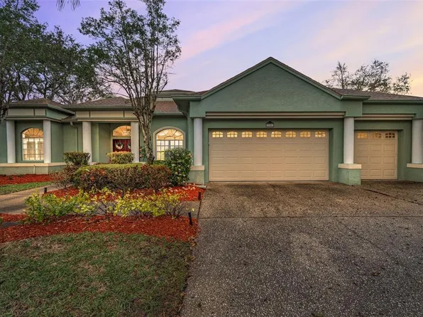 5501 Stag Thicket Ln, Palm Harbor, FL 34685