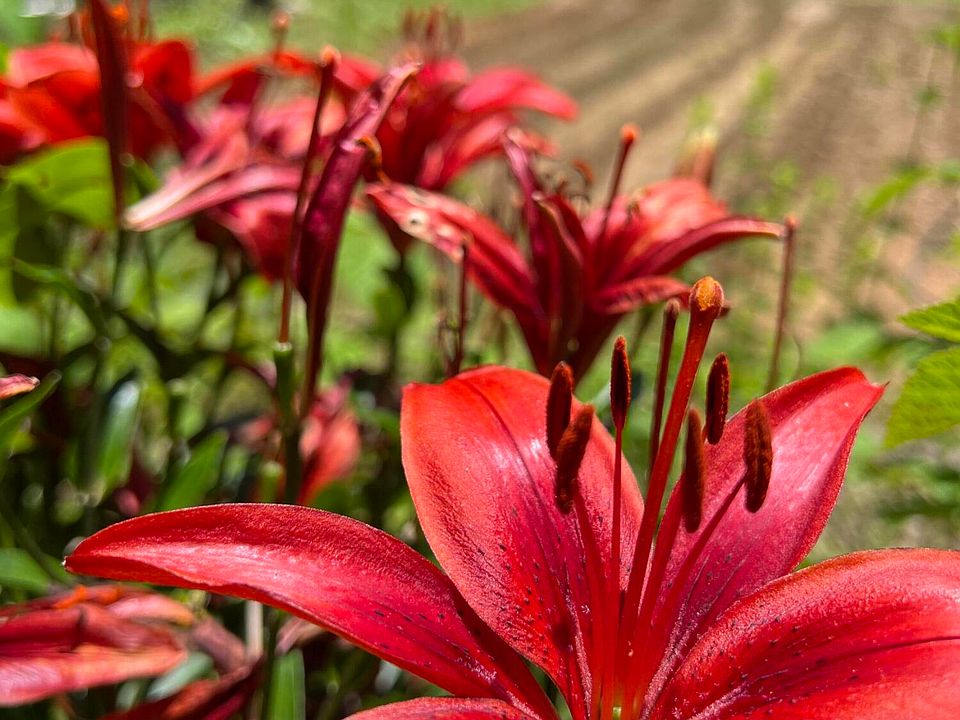 64th image of this home