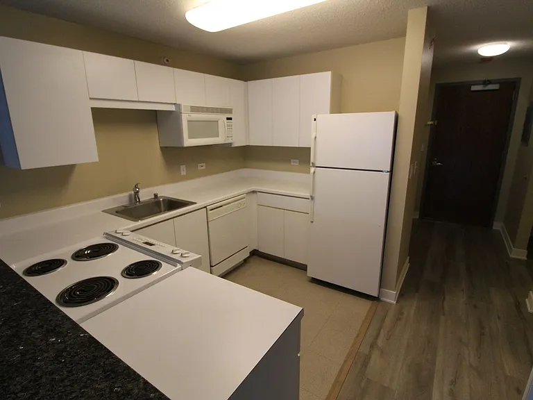 2 E Erie St #1901 — Photo 9
