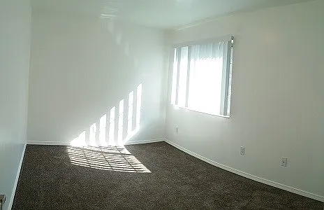 302 S Cedar St — Photo 6