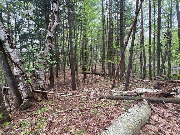 4th image of 8919 E Gladwin Rd