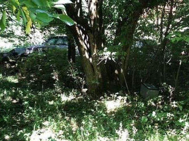 Property Rear View