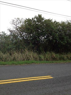 1st image of Wakea Ave Lot 778