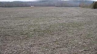 2nd image of 3341 Highway 156