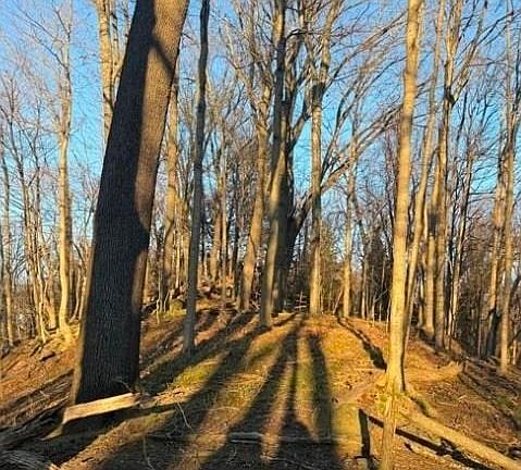5th image of 0 Harvey Rd