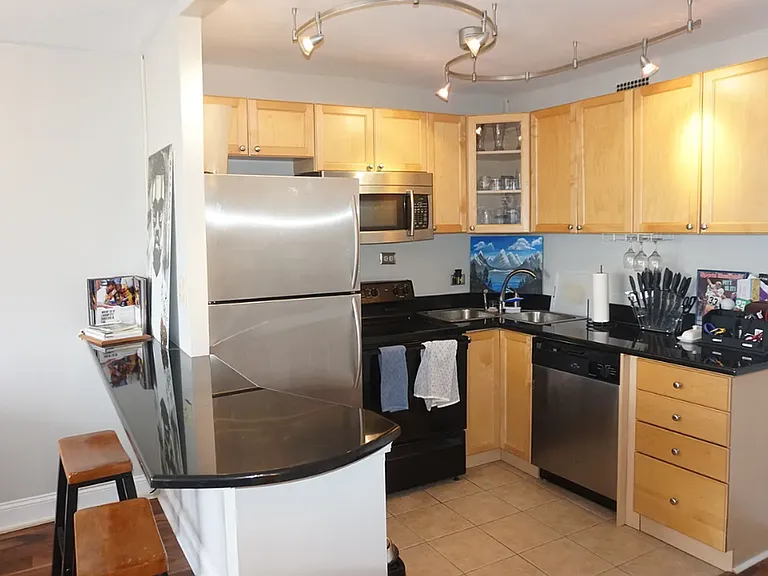 1360 N Sandburg Ter #2204C — Photo 8