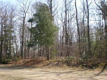 2nd image of 102 White Pine Dr SE
