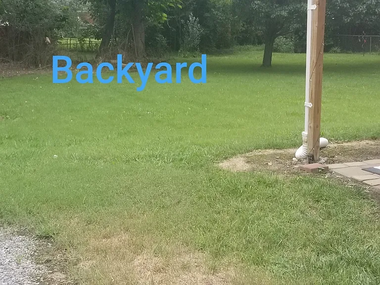Backyard has mature trees