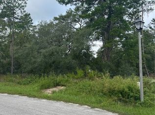 10 Palm Grass Ct, Homosassa, FL 34446