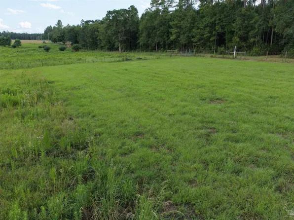 8221 Jakes Rd, Mc David, FL 32568